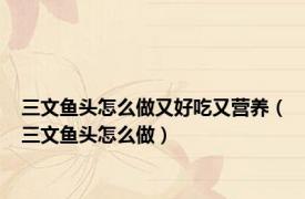 三文鱼头怎么做又好吃又营养（三文鱼头怎么做）