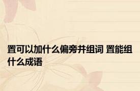 置可以加什么偏旁并组词 置能组什么成语
