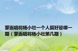 蒙面唱将杨小壮一个人挺好是哪一期（蒙面唱将杨小壮第几期）