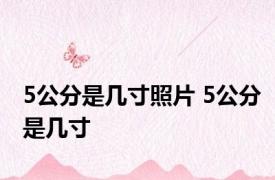 5公分是几寸照片 5公分是几寸