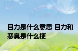 目力是什么意思 目力和恶臭是什么梗