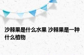 沙棘果是什么水果 沙棘果是一种什么植物
