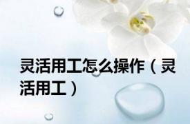 灵活用工怎么操作（灵活用工）