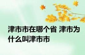津市市在哪个省 津市为什么叫津市市