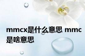 mmcx是什么意思 mmc是啥意思