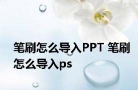 笔刷怎么导入PPT 笔刷怎么导入ps