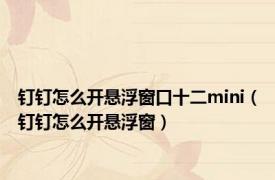 钉钉怎么开悬浮窗口十二mini（钉钉怎么开悬浮窗）