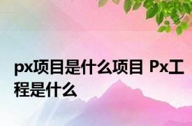 px项目是什么项目 Px工程是什么