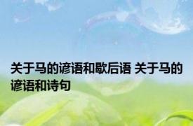 关于马的谚语和歇后语 关于马的谚语和诗句