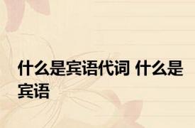 什么是宾语代词 什么是宾语