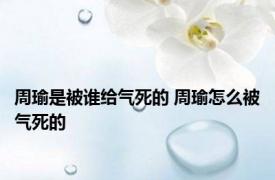 周瑜是被谁给气死的 周瑜怎么被气死的