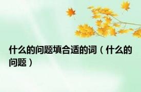 什么的问题填合适的词（什么的问题）