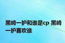 黑崎一护和谁是cp 黑崎一护喜欢谁 
