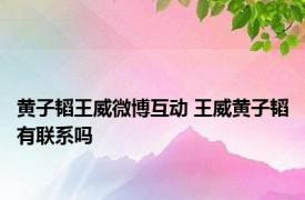 黄子韬王威微博互动 王威黄子韬有联系吗