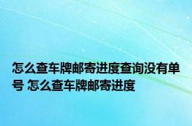 怎么查车牌邮寄进度查询没有单号 怎么查车牌邮寄进度