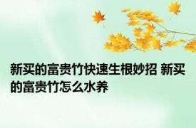 新买的富贵竹快速生根妙招 新买的富贵竹怎么水养