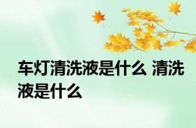 车灯清洗液是什么 清洗液是什么