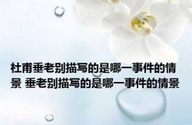 杜甫垂老别描写的是哪一事件的情景 垂老别描写的是哪一事件的情景