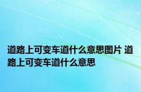 道路上可变车道什么意思图片 道路上可变车道什么意思