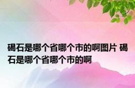 碣石是哪个省哪个市的啊图片 碣石是哪个省哪个市的啊