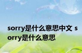 sorry是什么意思中文 sorry是什么意思 