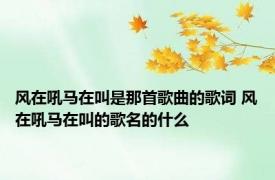 风在吼马在叫是那首歌曲的歌词 风在吼马在叫的歌名的什么