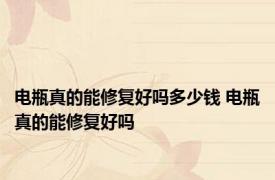 电瓶真的能修复好吗多少钱 电瓶真的能修复好吗