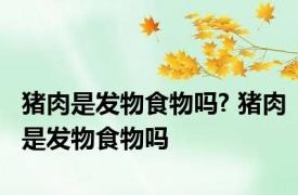猪肉是发物食物吗? 猪肉是发物食物吗