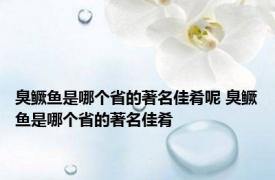 臭鳜鱼是哪个省的著名佳肴呢 臭鳜鱼是哪个省的著名佳肴