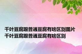 千叶豆腐跟普通豆腐有啥区别图片 千叶豆腐跟普通豆腐有啥区别