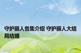 守护丽人各集介绍 守护丽人大结局结婚