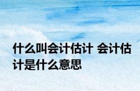 什么叫会计估计 会计估计是什么意思
