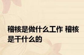 稽核是做什么工作 稽核是干什么的