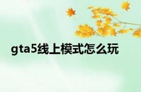 gta5线上模式怎么玩