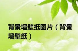 背景墙壁纸图片（背景墙壁纸）