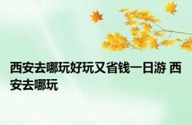 西安去哪玩好玩又省钱一日游 西安去哪玩 