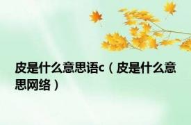 皮是什么意思语c（皮是什么意思网络）