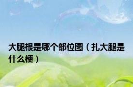 大腿根是哪个部位图（扎大腿是什么梗）