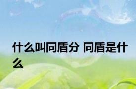 什么叫同盾分 同盾是什么