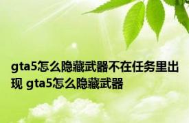 gta5怎么隐藏武器不在任务里出现 gta5怎么隐藏武器