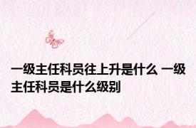 一级主任科员往上升是什么 一级主任科员是什么级别