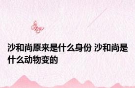 沙和尚原来是什么身份 沙和尚是什么动物变的