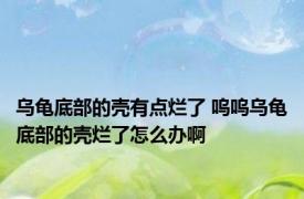乌龟底部的壳有点烂了 呜呜乌龟底部的壳烂了怎么办啊