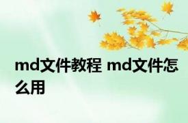 md文件教程 md文件怎么用