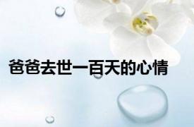 爸爸去世一百天的心情