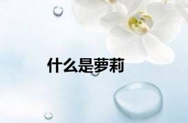 什么是萝莉