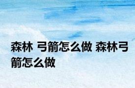 森林 弓箭怎么做 森林弓箭怎么做