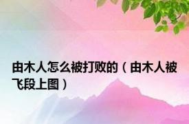 由木人怎么被打败的（由木人被飞段上图）