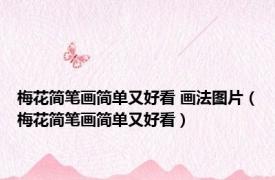 梅花简笔画简单又好看 画法图片（梅花简笔画简单又好看）