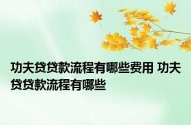 功夫贷贷款流程有哪些费用 功夫贷贷款流程有哪些